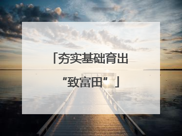夯实基础育出“致富田”